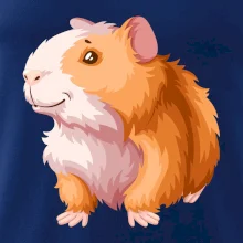 Morče - kreslené, bílo oranžové