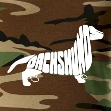 Jezevčík - Dachshund