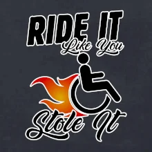 Ride it Like You Stole it Ride it Like You Stole it