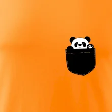 Panda v kapse