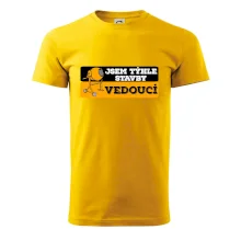 Jsem týhle stavby vedoucí