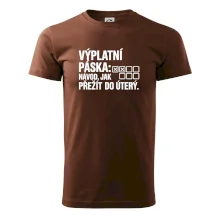 VÝPLATNÍ PÁSKA: Návod, jak přežít do úterý