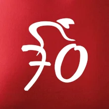 Cyklista slaví sedmdesátku (70)