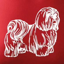 Shih-tzu - chlupatý