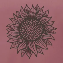Slunečnice kreslená černobílá