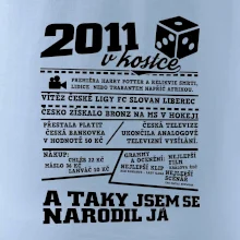 2011 v kostce