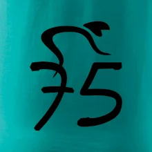 Cyklista slaví pětasedmdesátku (75)