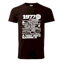 1977 v kostce