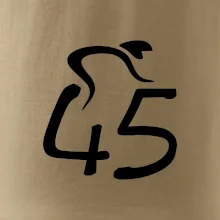 Cyklista slaví pětačtyřicítku (45)