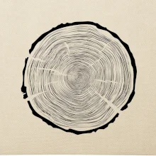 Letokruhy 100 bez věku