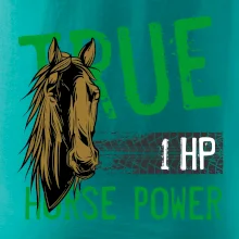 True Horse Power 1 HP