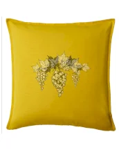 Vinné hrozny šedé