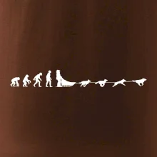 Evoluce psí spřežení