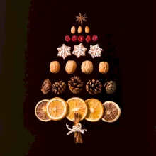 Vánoční stromeček ze sušených plodů