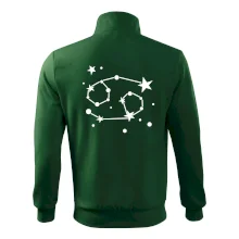 Souhvězdí - Cancer - Rak