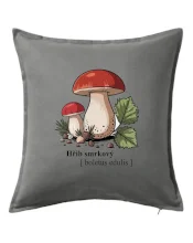 Hřib smrkový - Boletus edulis kreslený
