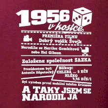 1956 v kostce