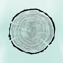 Letokruhy 100 bez věku