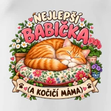 Nejlepší babička a kočičí máma spící zrzavý kocour
