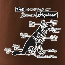 Německý ovčák - Anatomie