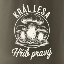 Král lesa hřib pravý