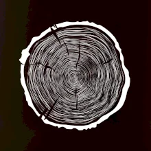 Letokruhy 70 bez věku