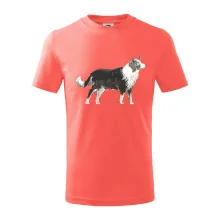 Border kolie kreslená