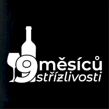 9 měsíců střízlivosti
