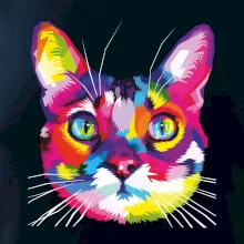 Kočka duhová hlava