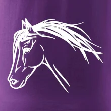 Kůň - hlava celá