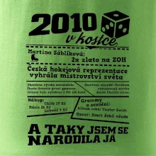 2010 v kostce