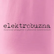 Čeština 2.0 - elektrobuzna