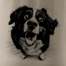 Černobílá karikatura Bernský salašnický pes