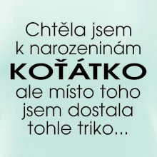 Chtěla jsem dostat k narozeninám koťátko