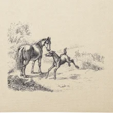 Kůň a hříbě malované