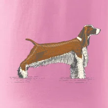 Vintage Springer spaniel