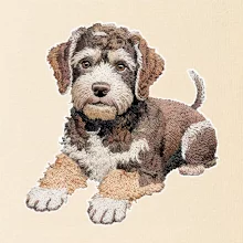 Lagotto romagnolo vyšívaný velký