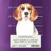 Lump a darebák bígl