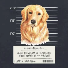Lump a darebák zlatý retrívr