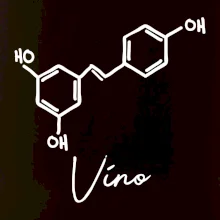 Barová chemie - víno