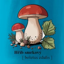 Hřib smrkový - Boletus edulis kreslený