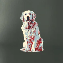 Zlatý retriever vintage