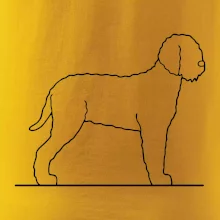 Lagotto romagnolo stojící