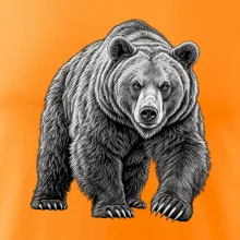 zvířata Beskyd - medvěd hnědý