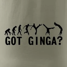 Capoeira - Got Ginga