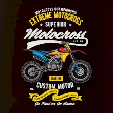 Motocross extreme custom motor