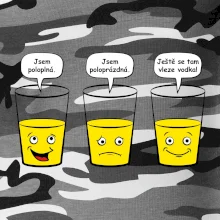 Skleničky - vodka (Hana-creative)