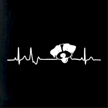 Jack Russell Terriér hrubosrstý Ekg