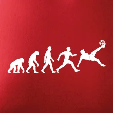 Evoluce nohejbalisty dokončena