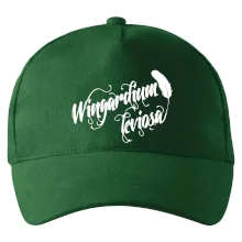 Harry - Wingardium Leviosa